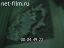 Новости дня / хроника наших дней №22-1989 Когда приходит беда. Можно, если захотеть. Камбаркан