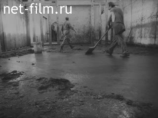 Киножурнал Хозяин №4-1997 Рассказы о животных. (1997)