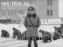 Кадр видео