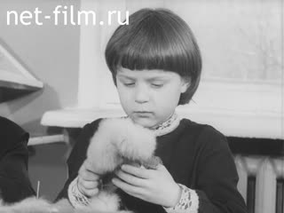 Newsreel Pioneerhood №12-1978 (1978)