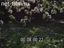 Footage frame