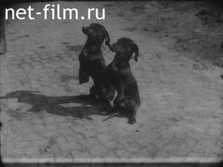 Footage The first flight to the top of Zug. (1920-1929)