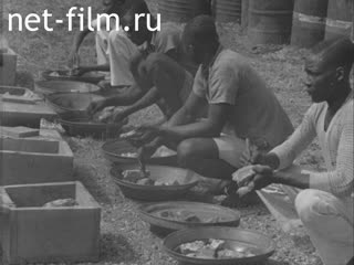 Кинохроника Добыча золота в Конго. (1920-1929)