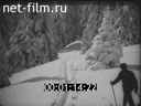 Кадр видео