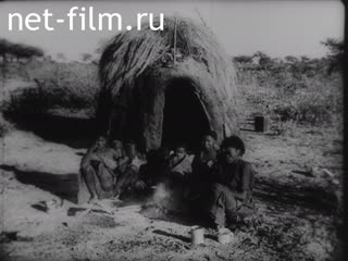 Footage The Awakening Sphinx. (1920-1929)