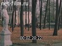 Footage frame