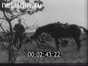 Footage frame
