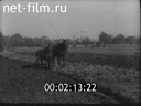 Footage frame