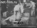 Footage frame