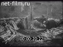 Footage frame