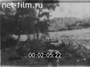 Footage frame