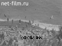 Footage frame