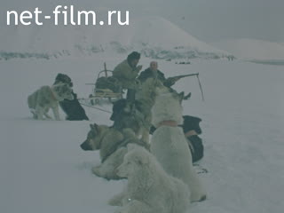 Newsreel Daily News / A Chronicle of the day №23-1987 Hunting season. What happened to the tea. In memory of the artist. (1987)