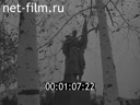 Footage frame