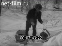 Кадр видео