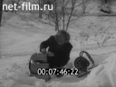 Кадр видео