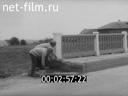 Кадр видео