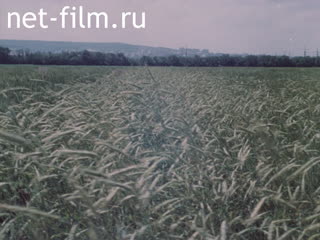 Movie Agriculture in the USSR. (1986)
