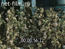 Footage frame