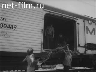 Footage The tragedy in Bashkiria. (1989)