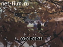 Footage frame