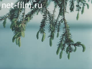 Footage Materials on the film "Meeting at the 65th Parallel". (1983)