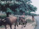 Footage frame