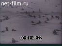 Footage frame
