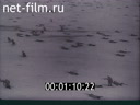 Footage frame