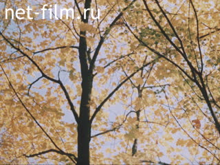 Footage Autumn and winter landscapes. (1980-1989)