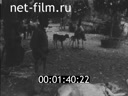 Кадр видео