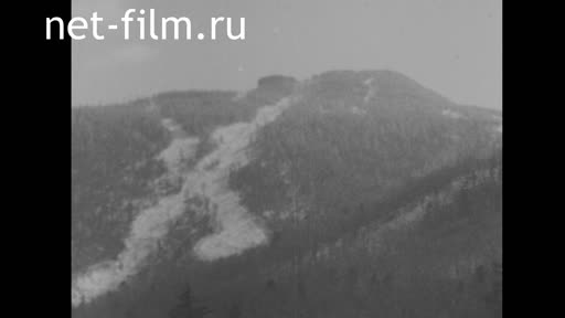 Новости Зарубежные киносюжеты №5167 (1977)