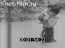 Кадр видео