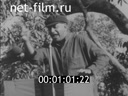 Кадр видео