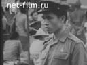 Foreign newsreels №4308