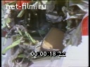Footage frame