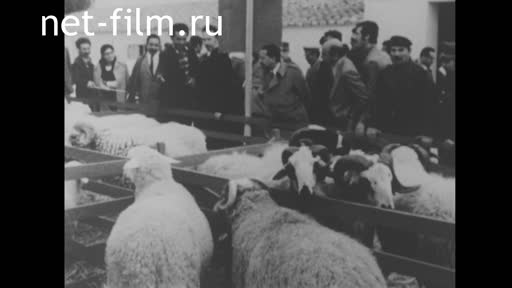 News Foreign newsreels №5872 (1979)
