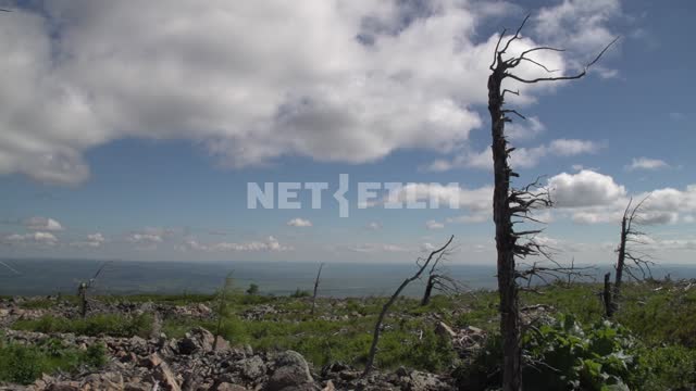 Титульная картинка