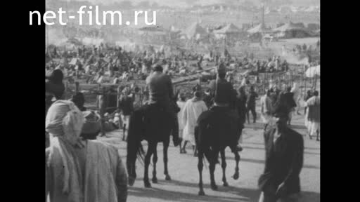 News Foreign newsreels №5091 (1977)