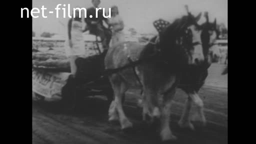 News Foreign newsreels №4524 (1975)