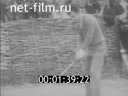 Кадр видео