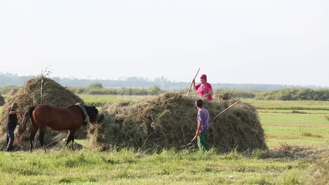 Титульная картинка