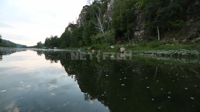 Титульная картинка