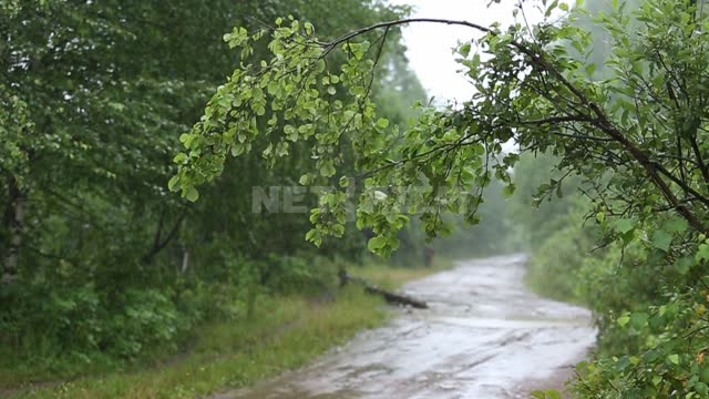 Титульная картинка