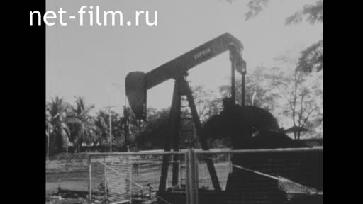 Новости Зарубежные киносюжеты №2722 (1971)