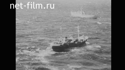 Новости Зарубежные киносюжеты №4517 (1975)