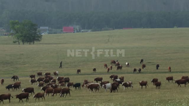 Титульная картинка