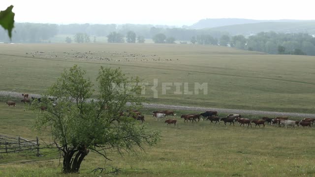 Титульная картинка