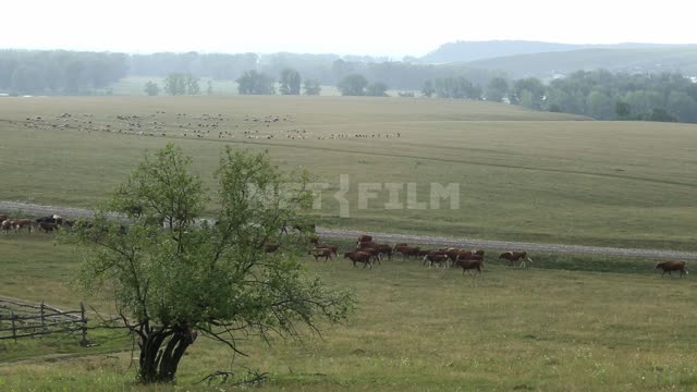 Титульная картинка