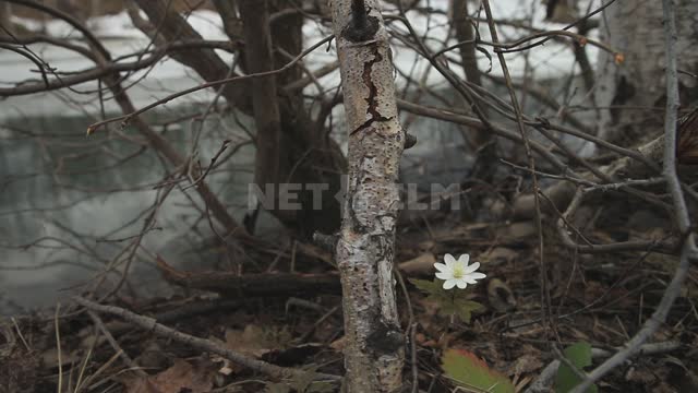 Титульная картинка